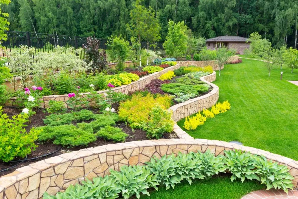 Création de jardin