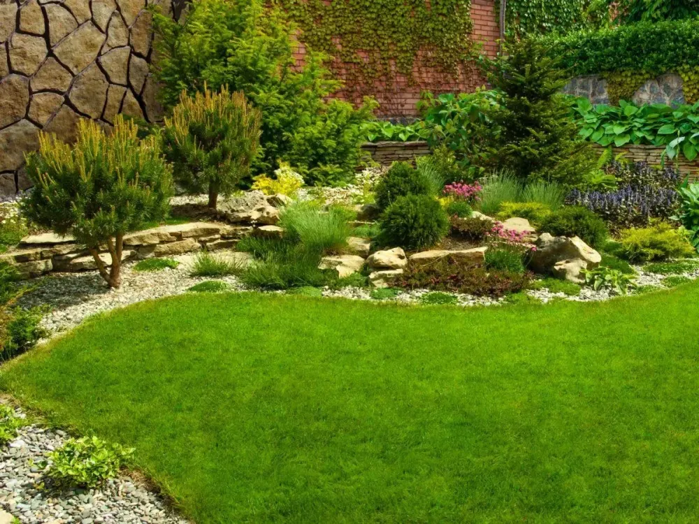 Jardin