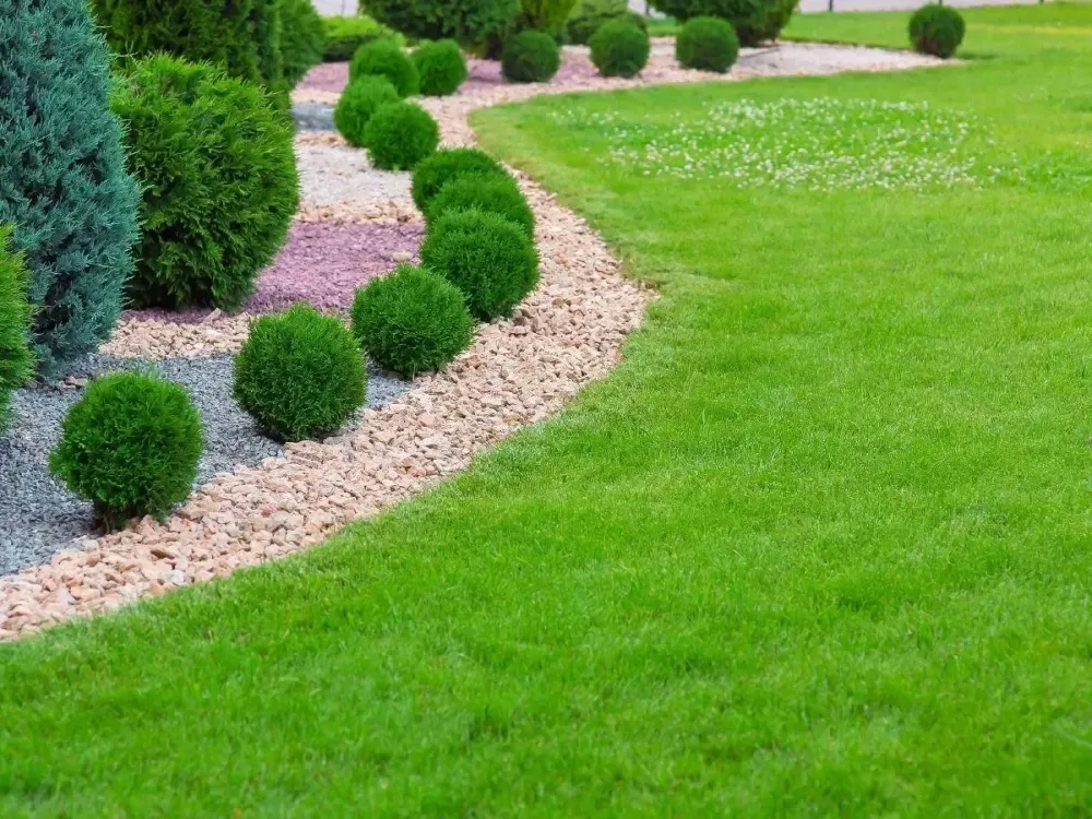 Entretien jardin