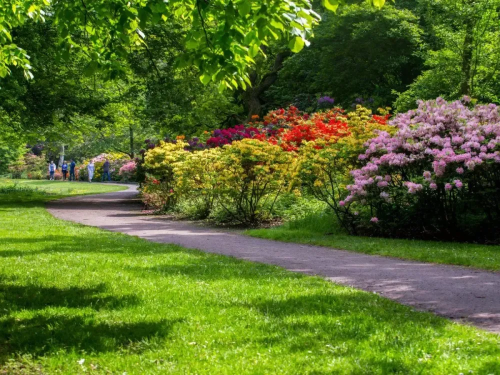 Massif de jardin à Caumont-sur-Aure