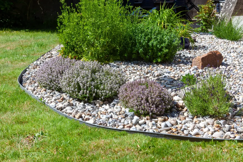 Création jardin